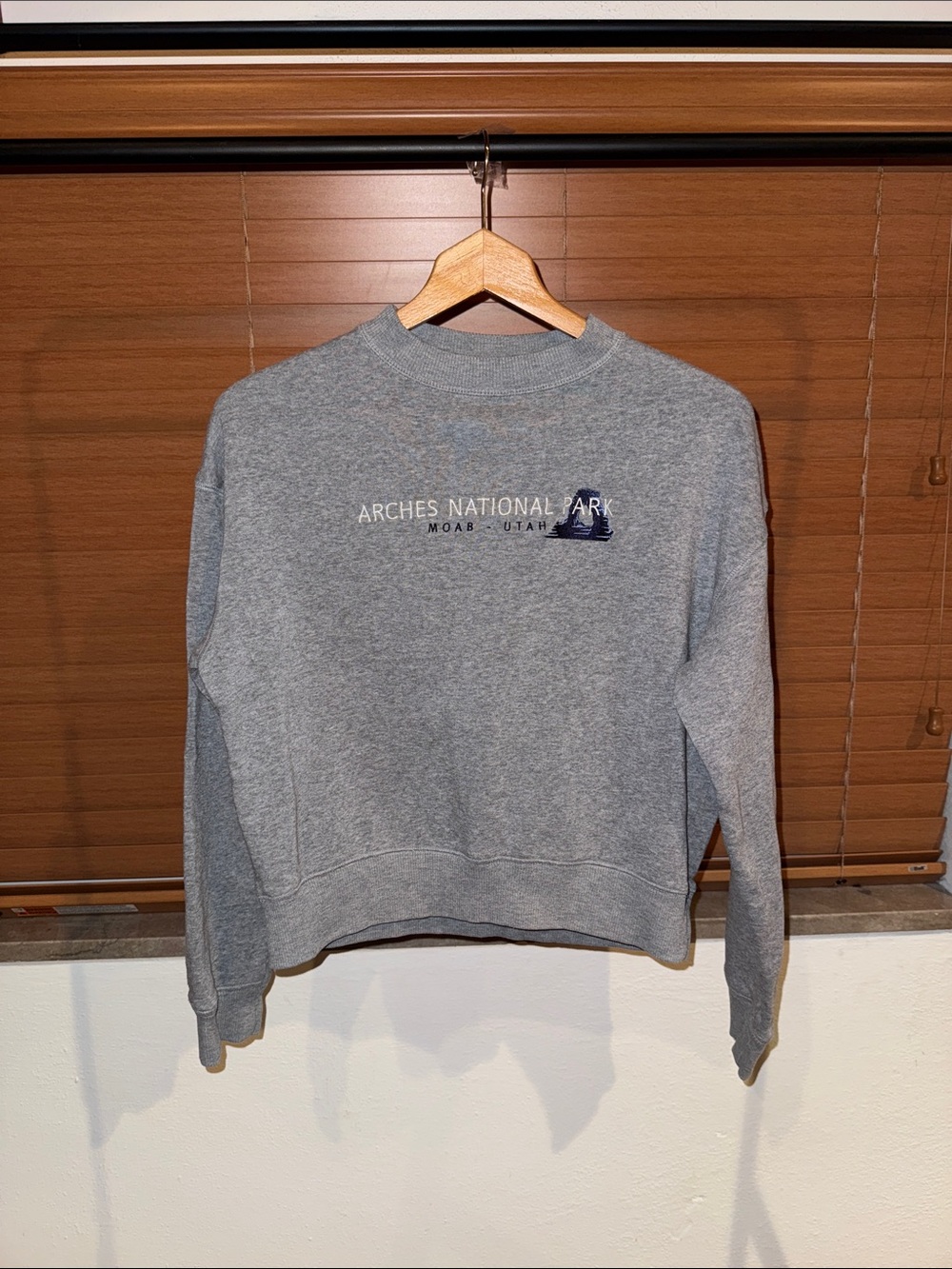 Champion Arches National Park Crewneck Sweatshirt - Gray